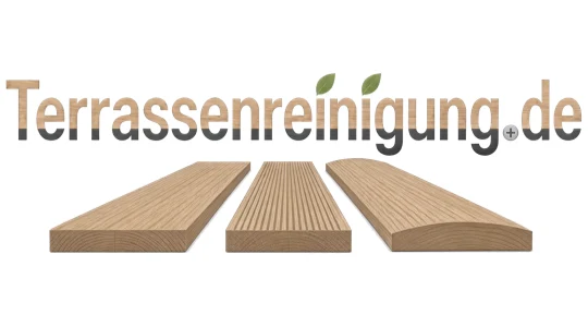Terrassenreinigung logo